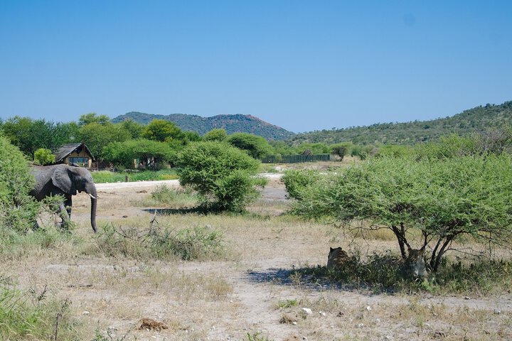 Tau Game Lodge