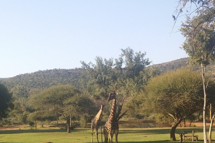 Thandile Country Lodge