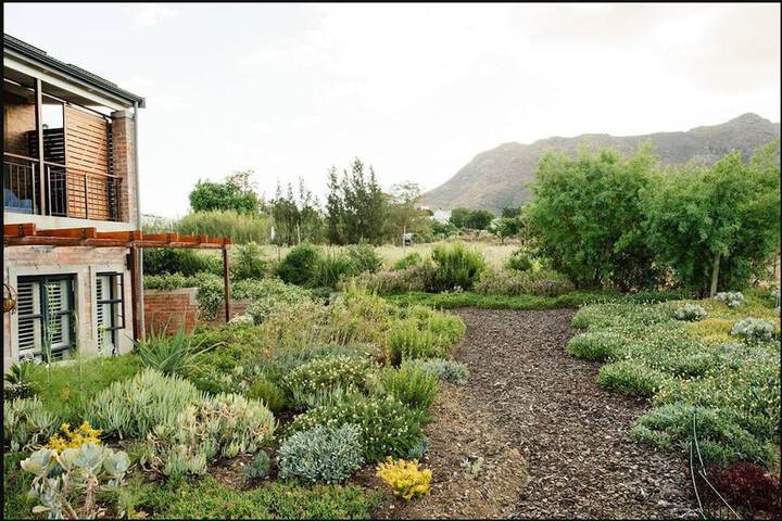 Vineyard Views Country House